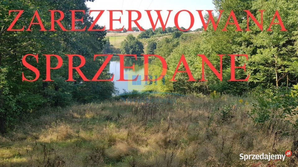 Działka 212 ha jeziorze Drawskim Kluczewo