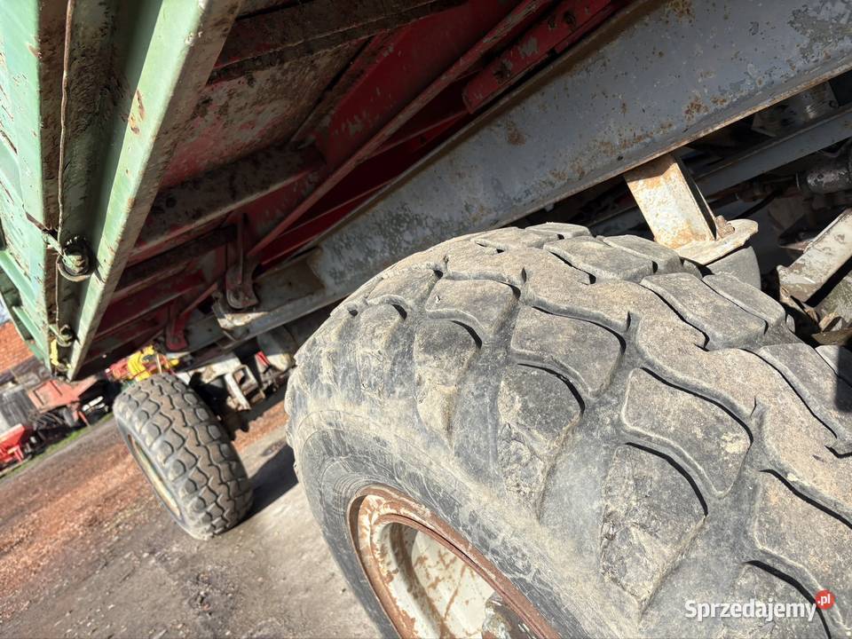 Przyczepa hl 8011 Kotlin