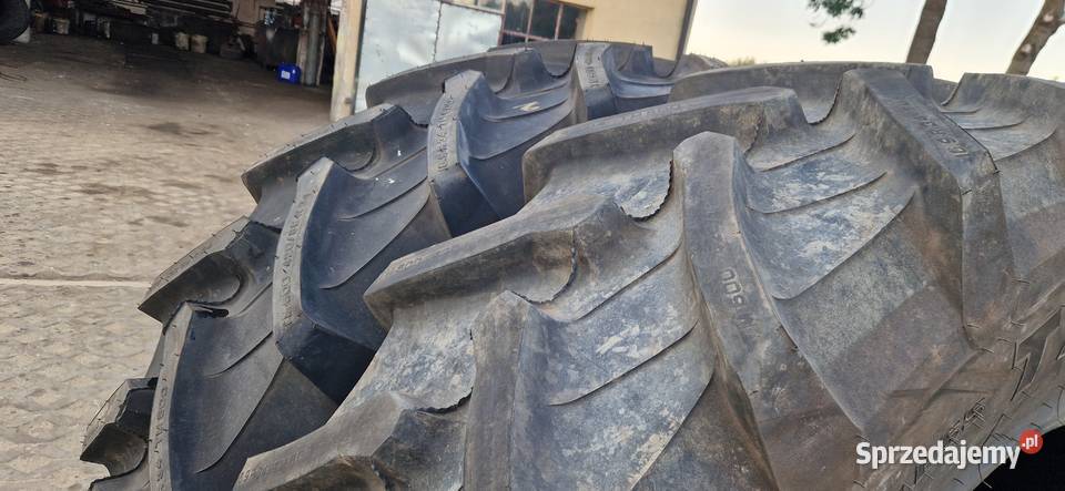 42085r34 169r34 16934 Trelleborg 2024r 100 sprzedam