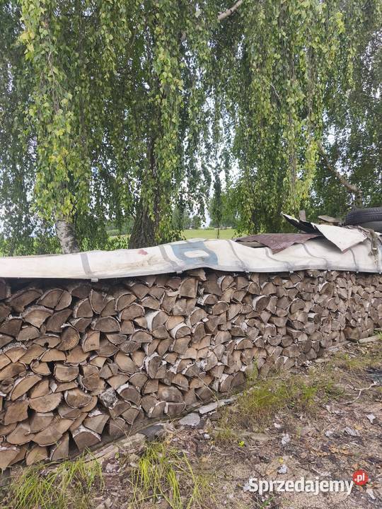 Drewno opałowe brzoza pomorskie Brusy