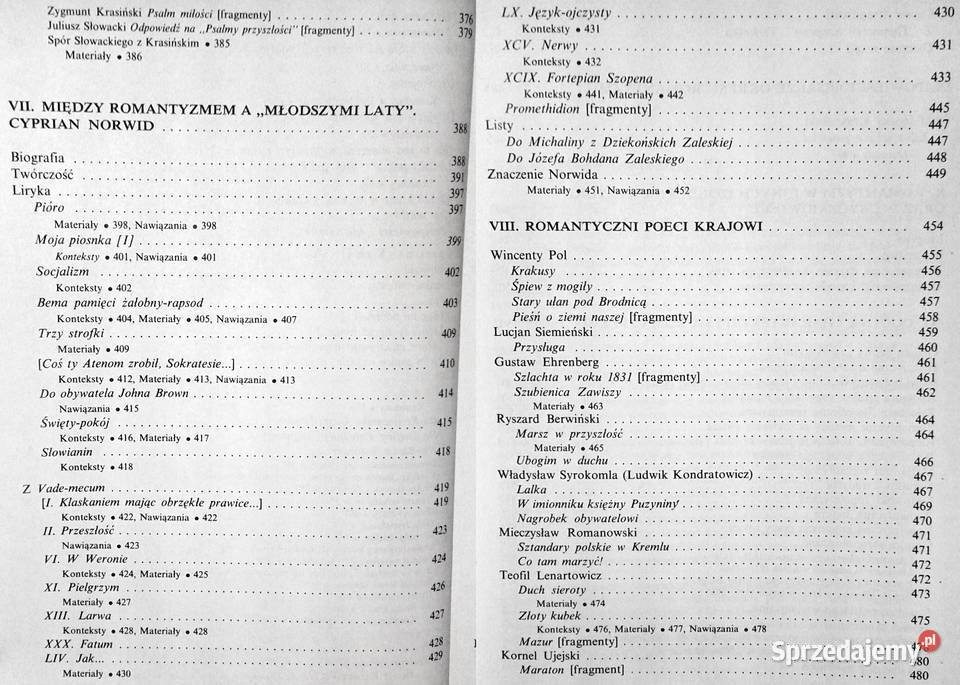 Romantyzm Stanisław Makowski Chełm