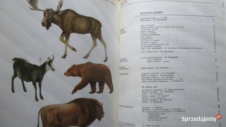 Głos przyrody Kowalewska Kownacka przyroda biologia, ekologia Książki naukowe i popularnonaukowe łódzkie