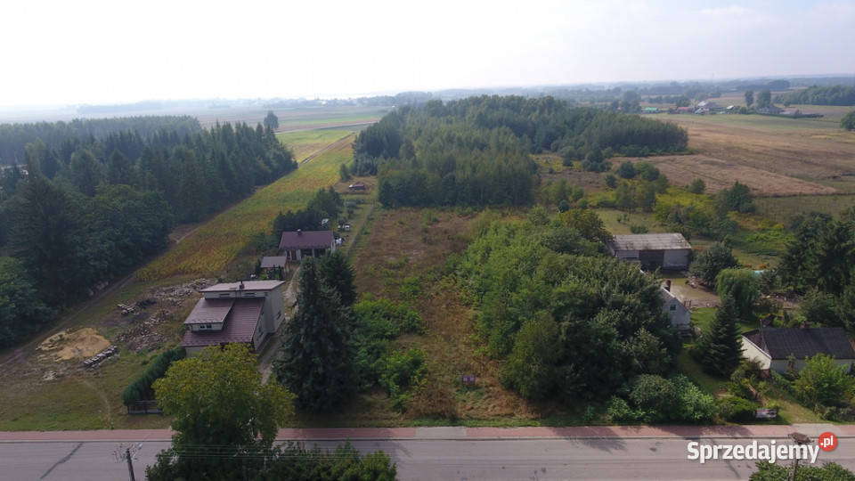 Działka Dąbrowica Ludwin 105 ar media Dąbrowa