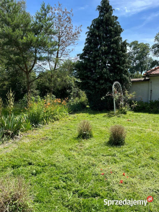 Dom Kobierzycko 6127m2 łódzkie