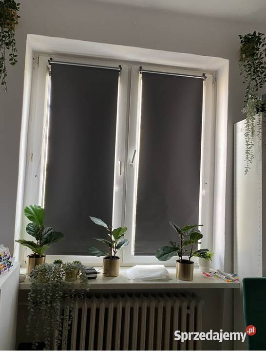 Kawalerka centrum Lublina 22 m 8 m piwnica 3 Lublin