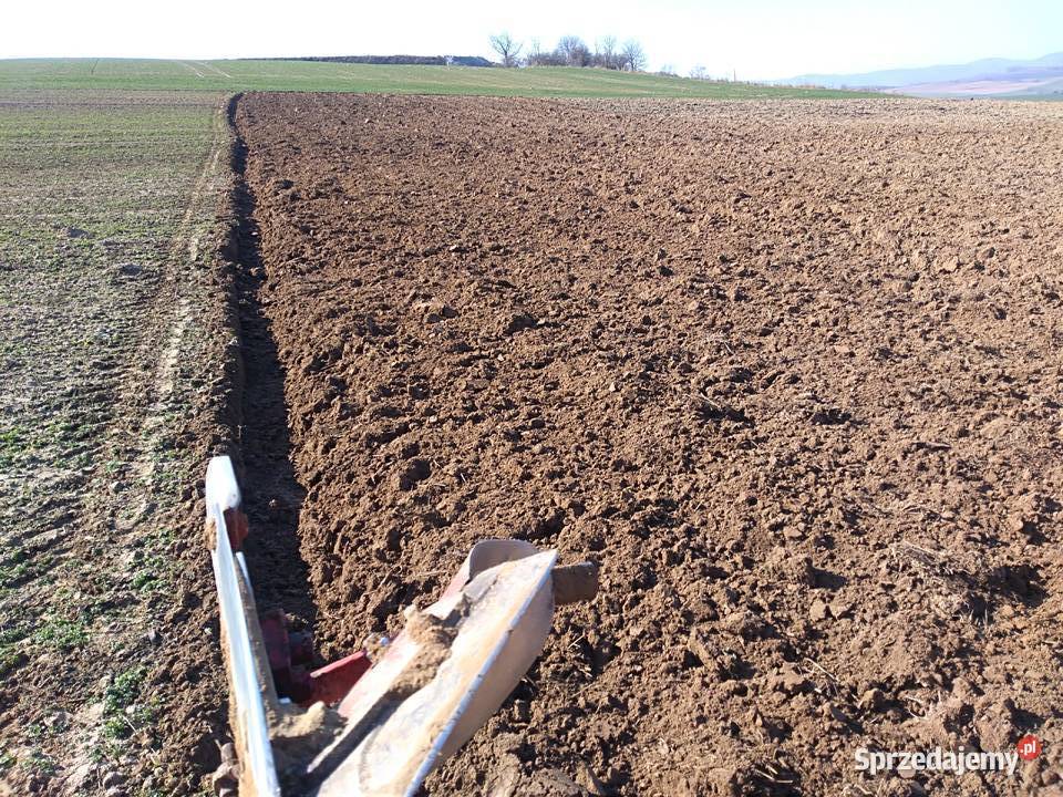 Pług obrotowy 2 skibowy Niemeyer dolnośląskie Piława Górna