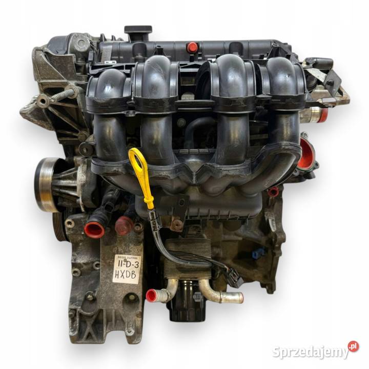SILNIK HXDB Ford Focus II MK2 C C 16 16V Ti HXDA Chełm sprzedam