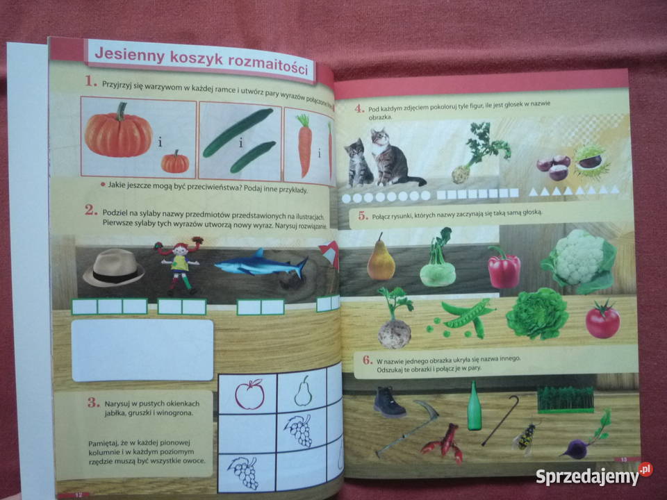 Elementarz odkrywców 1 Dzień odkrywców Ćwiczenia Podręczniki Szczecin