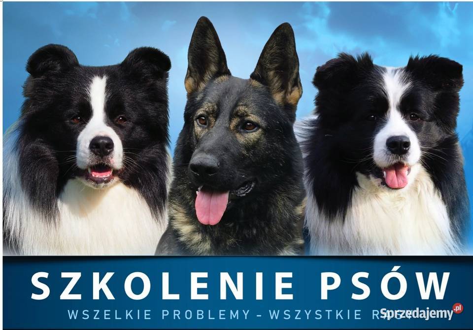 Szkolenie psów Woj Łódzkie łódzkie Pawelce