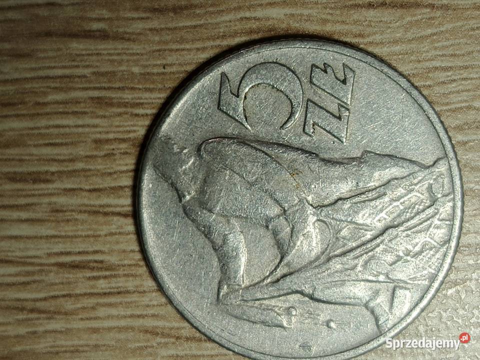 5zloty Rybak 1960 Zduńska Wola