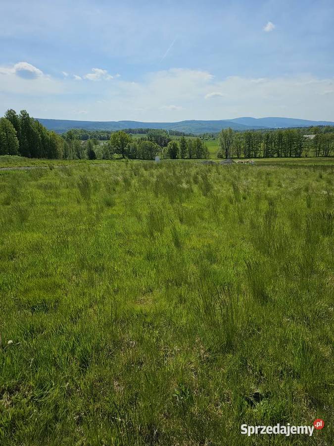 Sprzedam działkę budowlaną Rębiszów