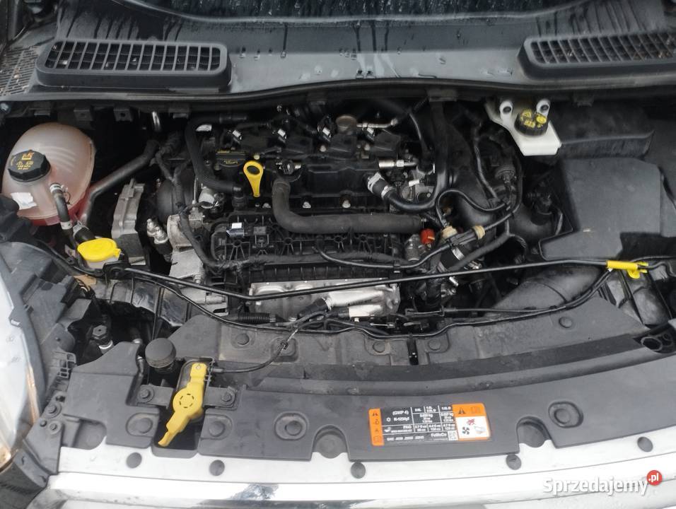 Ford Kuga mk2 15 Ecoboost Trend Super Stan 2019 garażowany dolnośląskie Gryfów Śląski