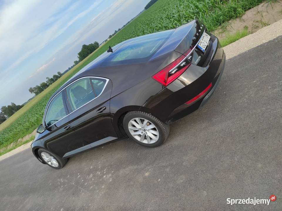 Skoda Superb 20 TDI 190 Ambition DSG 2020r Superb kujawsko-pomorskie Rypin