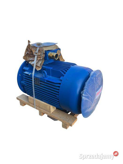 Silnik Elektryczny Bartec Varnost 44kW Tuliszków