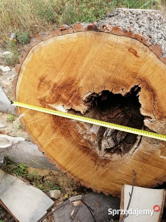 Stolik kawowy blat loft stół plaster dąb 1 metr Przysucha