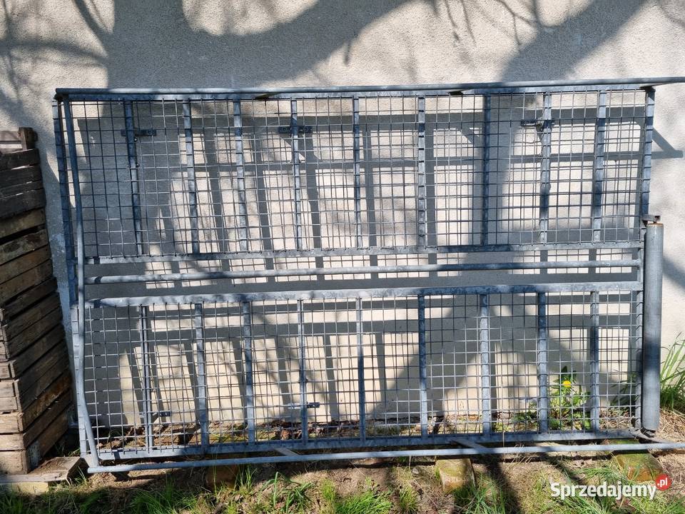 Bagażnik dachowy na busa 240 x 150 drabinka Bratkówka