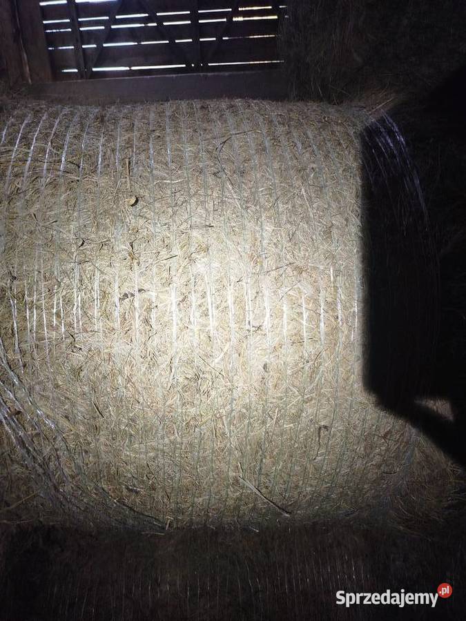 Sprzedam siano w belach Kaplonosy