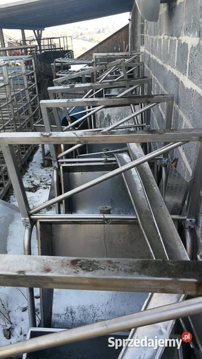 linia ubojowa na wisząco do transportu żołądków