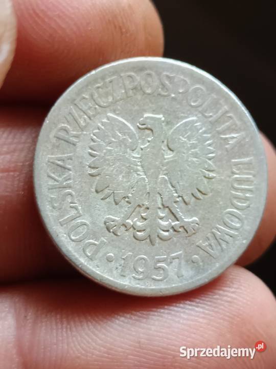 Sprzedam monete 50 groszy 1957 mala skretka lubelskie Chełm