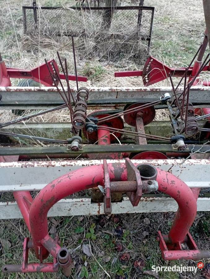 Przewracarko grabarka Grodzisko