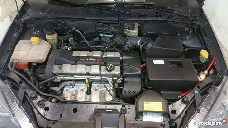 Ford Focus ST170 Wałcz