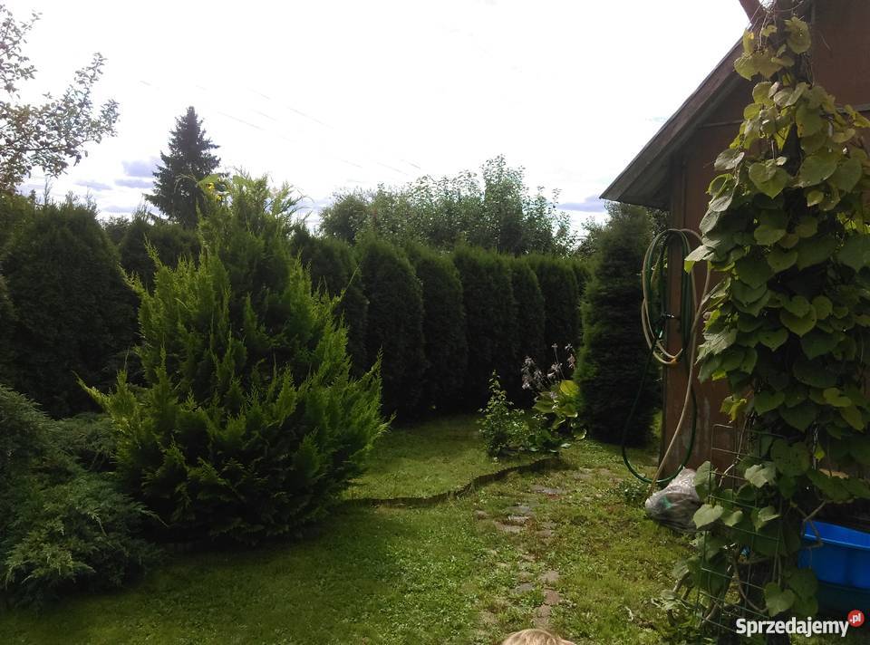 Sprzedam działkę ogrodową na Malwa Sianożęć Suwałki