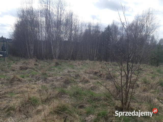 sprzedaży gruntu 1302 metry Nowy Bukowiec