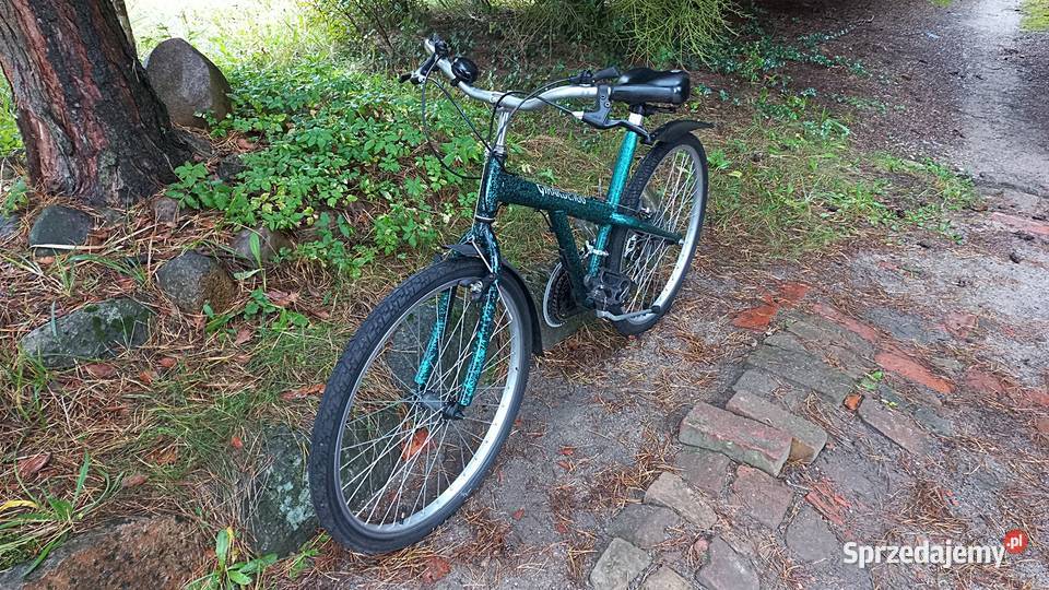 Włoski Rower Górski Mtb Retro Vintage Girardengo Wołów