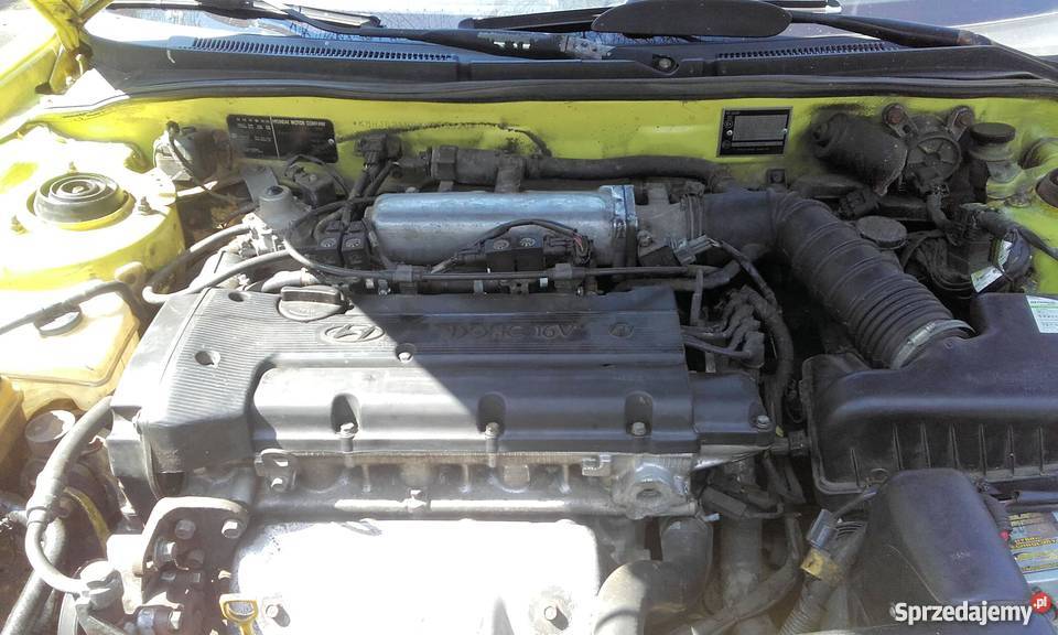 Hyundai Coupe Zator