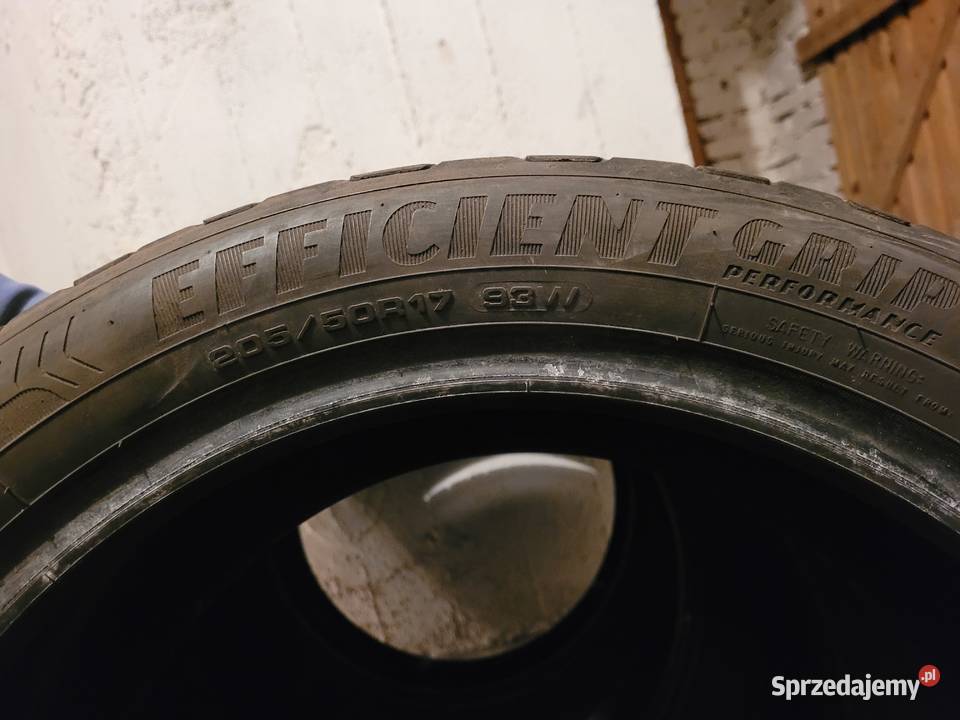 Goodyear Efficient Grip Performance 21555R17 93W Lublin