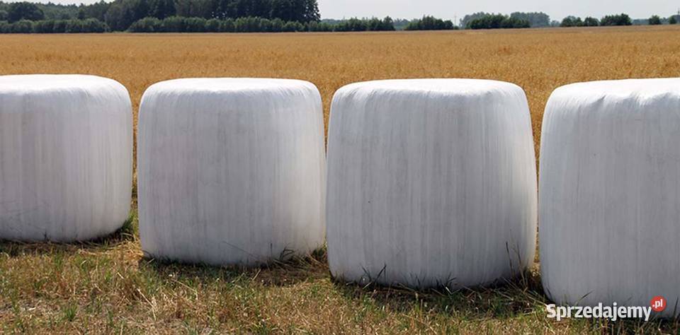 Sianokiszonka Piszczac