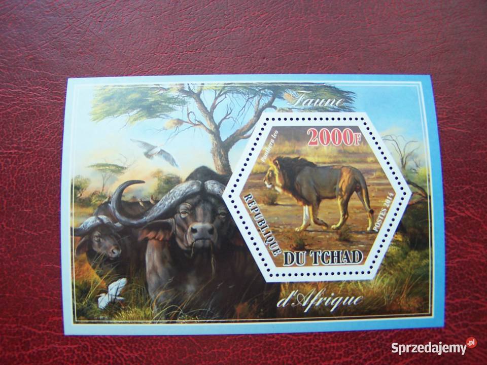 Czad 2014 MNH Fauna Dzikie Zwierzęta Afryki Tychy sprzedam