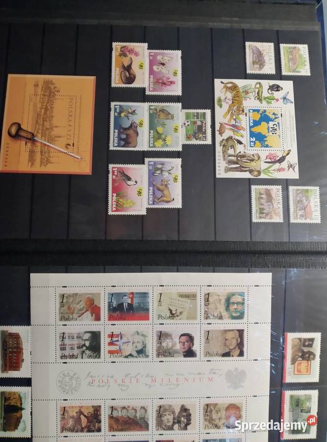 Polskie rocz 2000 Góra