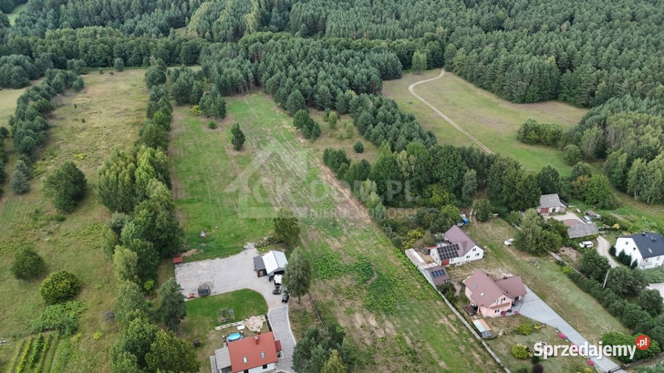 Działka na sprzedaż 910 m2 Gałęzice gm Piekoszów sprzedam