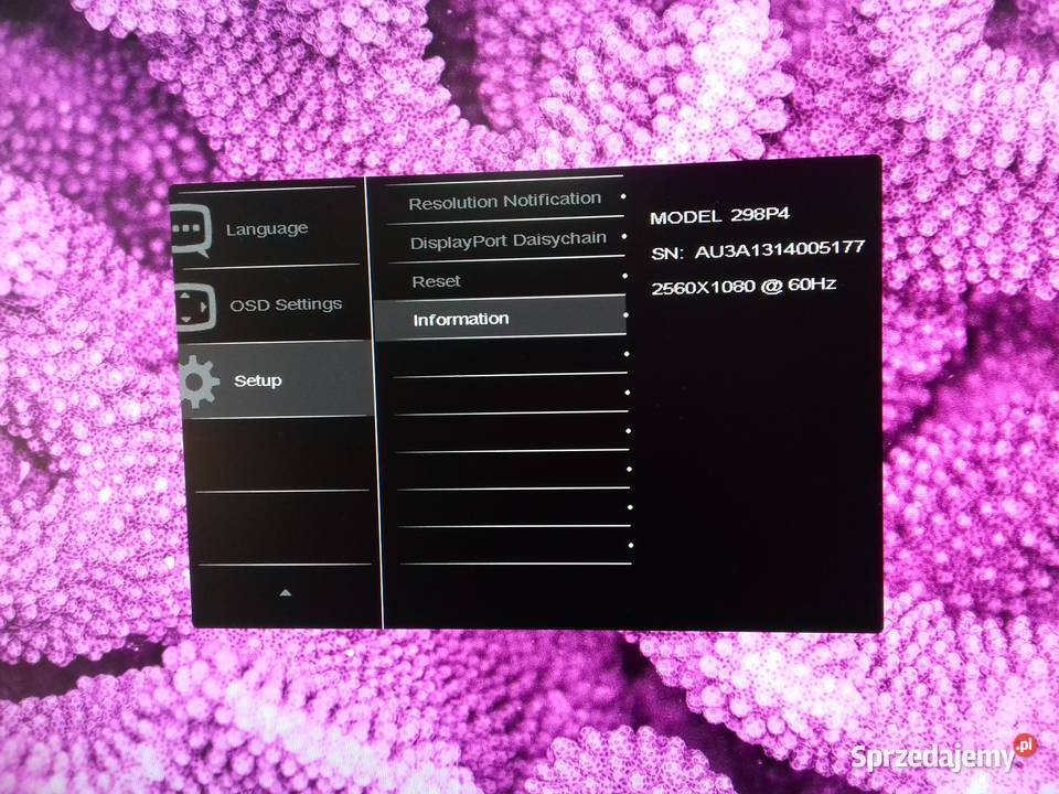 Monitor LED IPS 29 UltraWide 219 2560x1080 Bydgoszcz