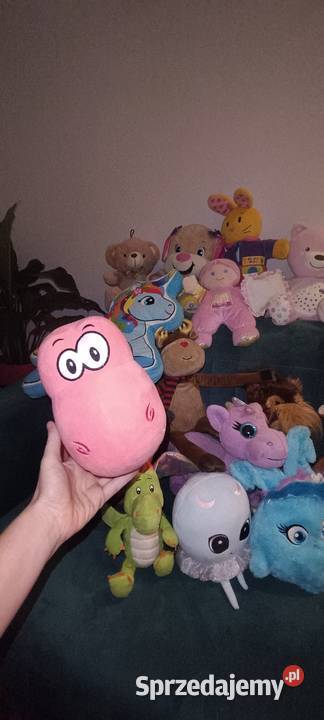 Maskotkipluszaki śląskie Częstochowa