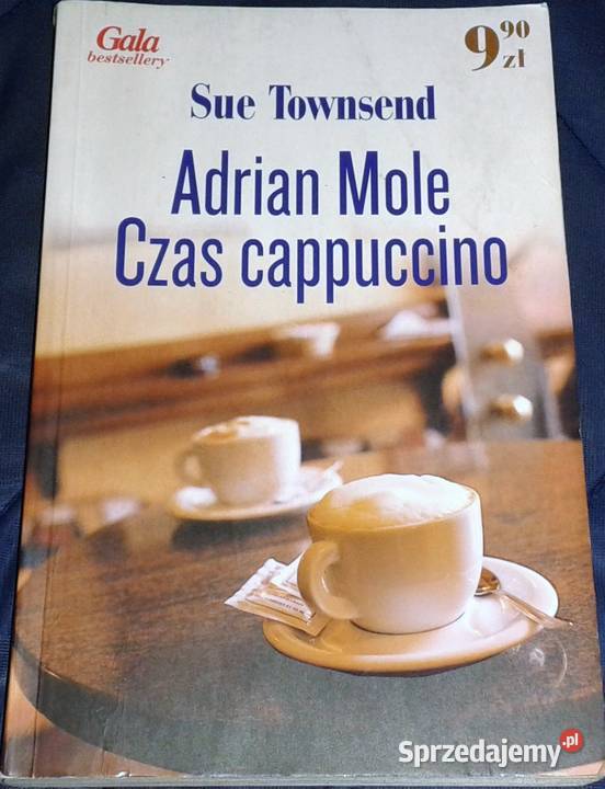 Adrian Mole Czas cappuccino Sue Townsend miękka Chełm sprzedam