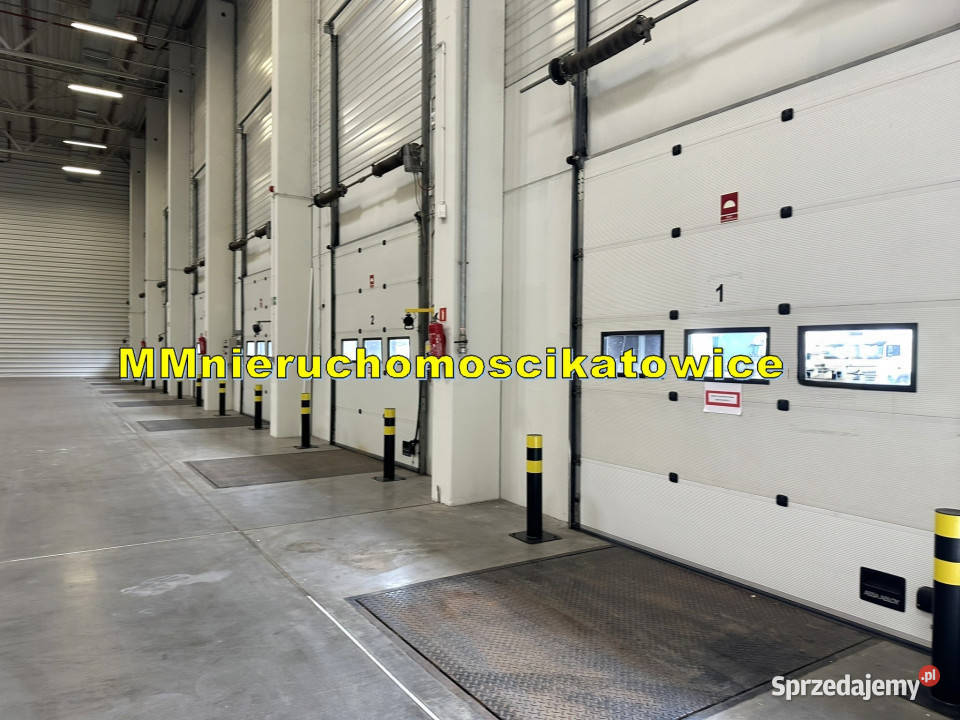 Magazyny do wynajęcia Katowice doki bramy parking