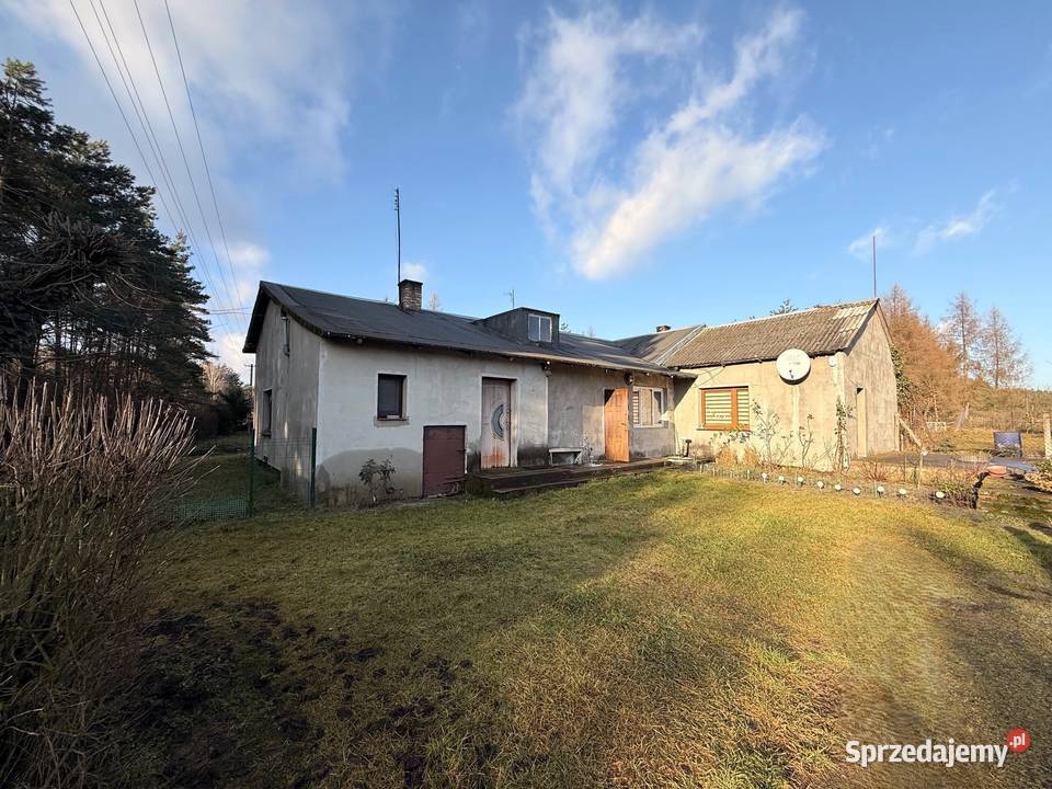 Dom z dużą działką i lasem w Nowinach Brdowskich Nowiny Brdowskie