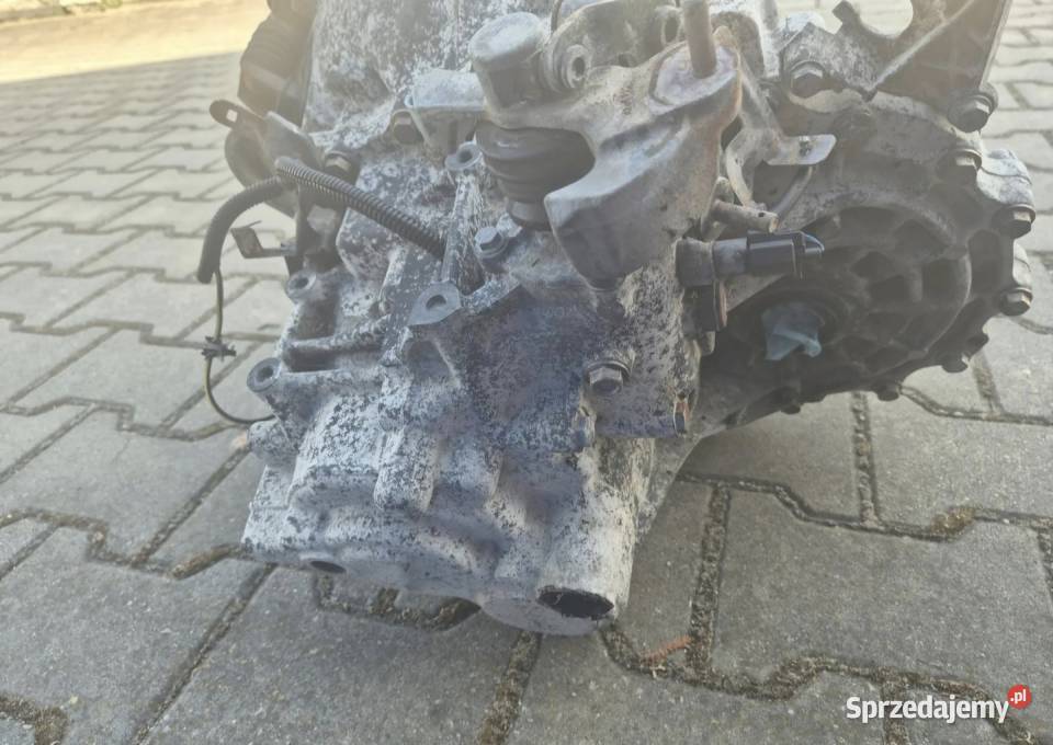 MANUALNA SKRZYNIA BIEGÓW 6B NISSAN PRIMERA P12 Działoszyce