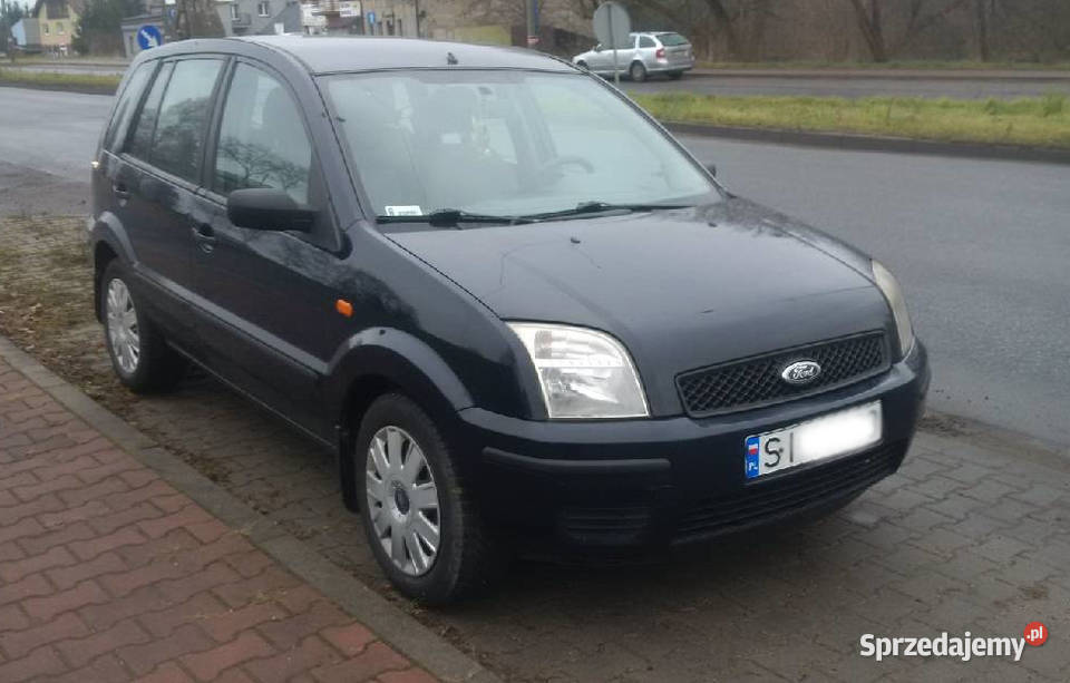 Ford Fusion 14L 80 benzyna 2004r 102 pierwszy 1400cm3