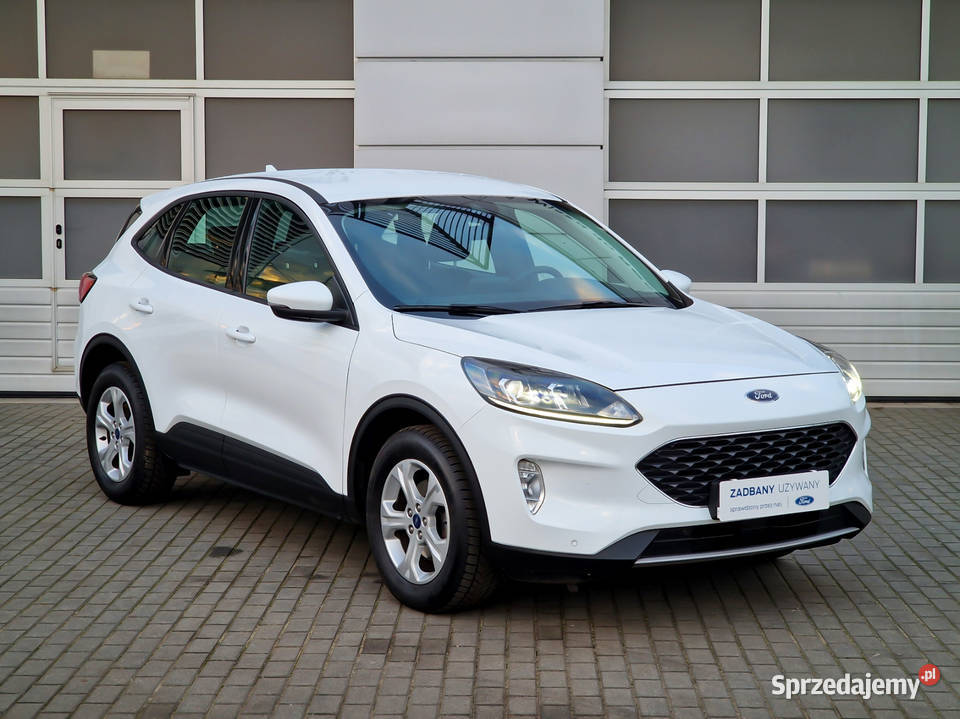 Ford Kuga III 2019 teraz 15 MK3 DIESEL FV VAT 23 diesel pomorskie Gdańsk sprzedam