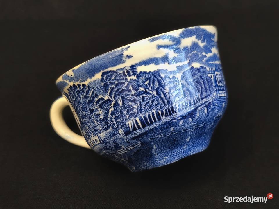 Filiżanka angielska Palissy Chełm