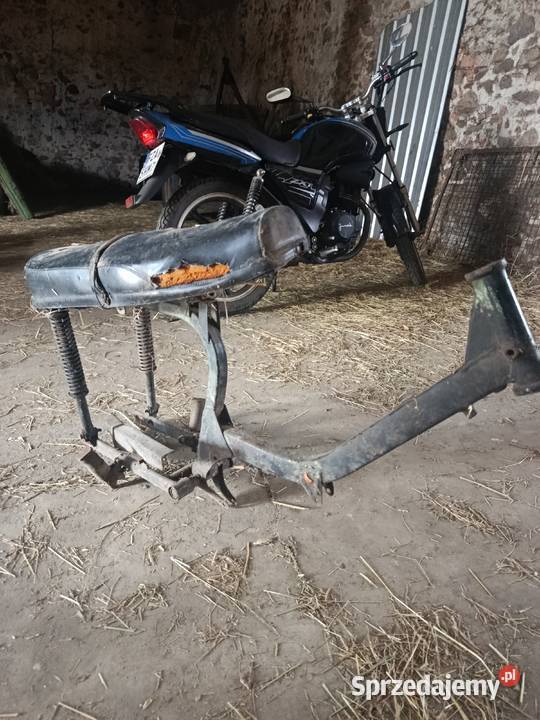 Jawa mustang Żary