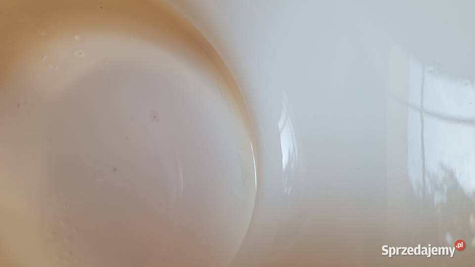 Misa patera Silesia Rustica Fiedorowicz Watra Dąbrowa Górnicza sprzedam