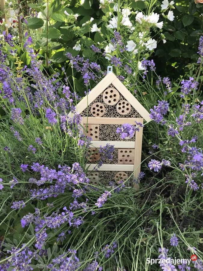 domek owadów pszczoły murarki Sławno sprzedam