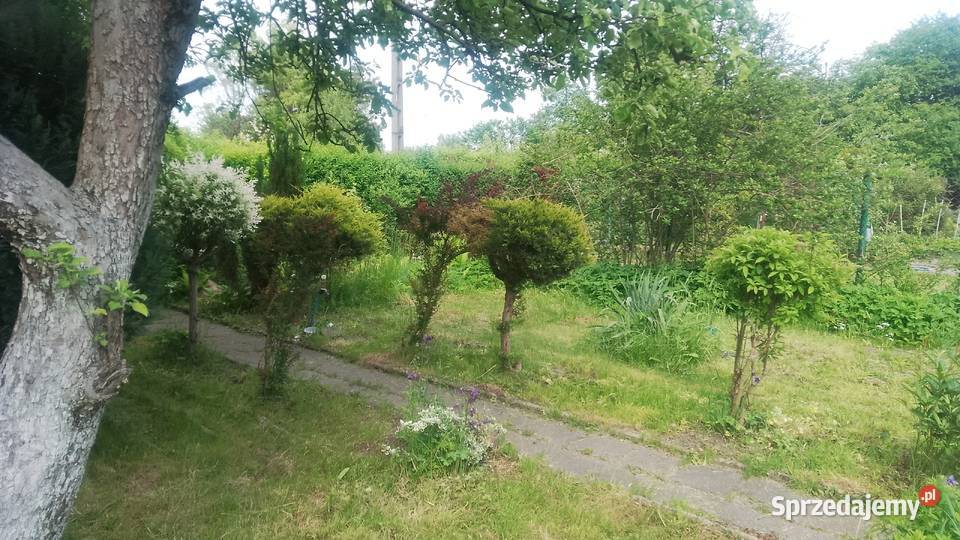 Ogródek działkowy 3 ary Katowice obok basenu śląskie sprzedam