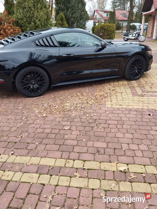 Ford Mustang 37 Sportowy / Coupe