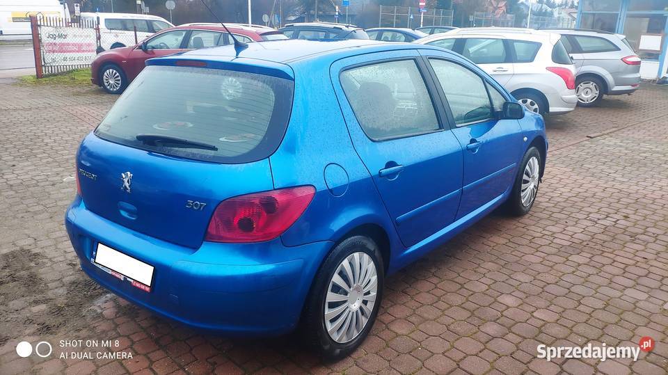 Peugeot 307 20 benzyna 2002r skóry klima zamiana możliwa zamiana