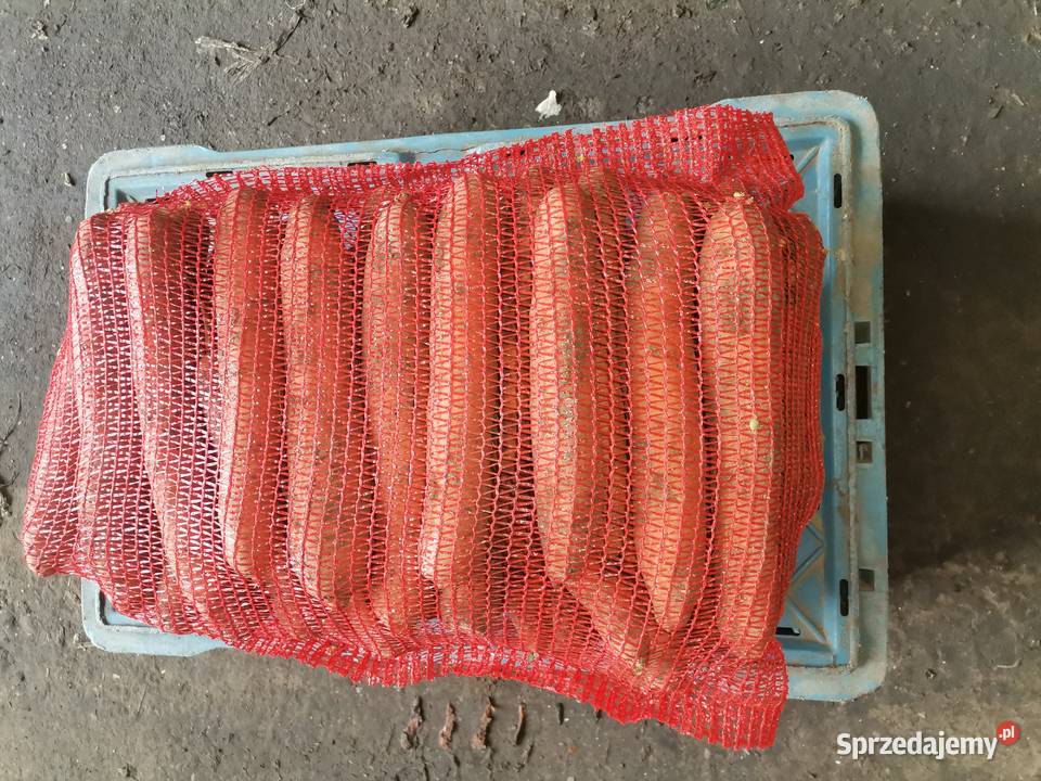 SPRZEDAM WARZYWA WSZYSTKIE WARZYWA POSIADAM małopolskie Proszowice